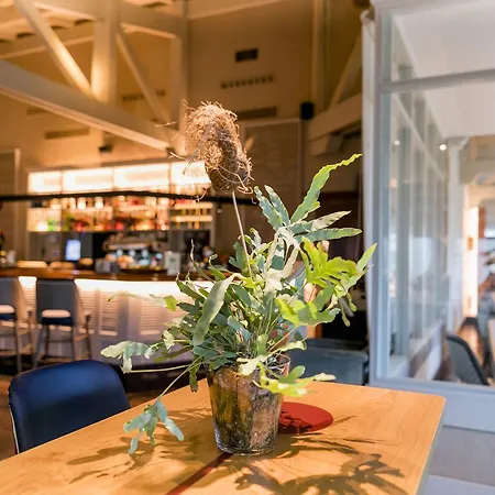 فندق Palacio Urgoiti