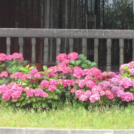 Hotel Palacio Urgoiti 4*